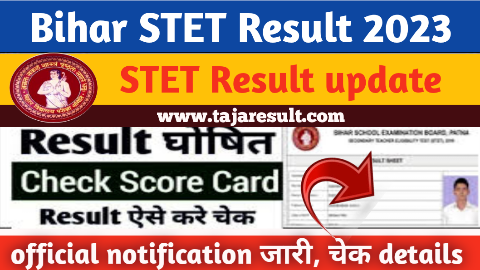 How to check STET Result 2023
